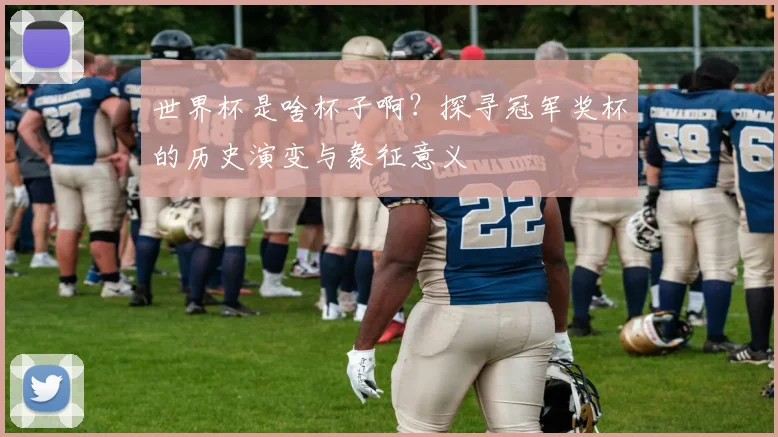 世界杯是啥杯子啊？探寻冠军奖杯的历史演变与象征意义