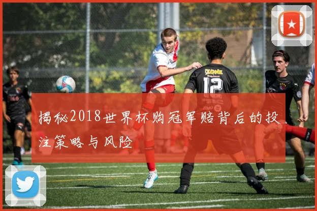 揭秘2018世界杯购冠军赔背后的投注策略与风险