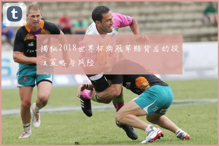 揭秘2018世界杯购冠军赔背后的投注策略与风险