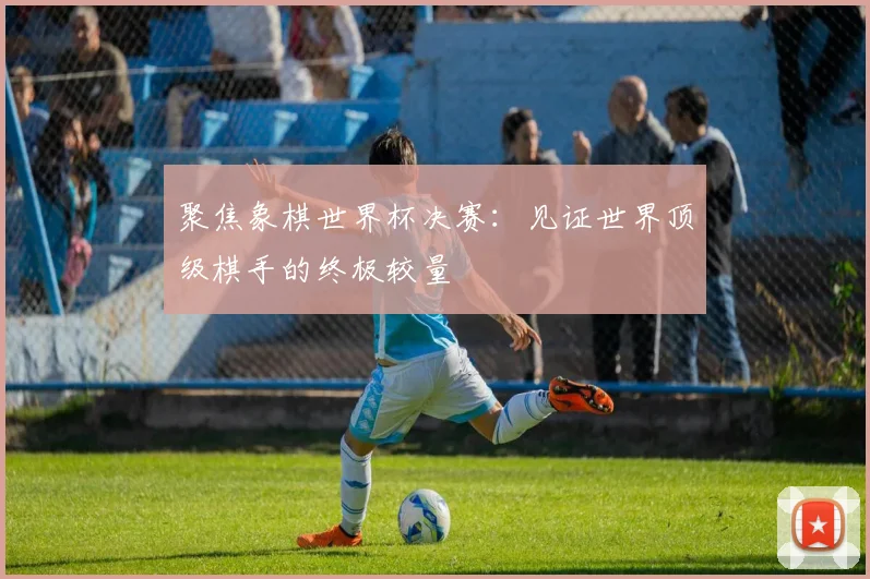 聚焦象棋世界杯决赛：见证世界顶级棋手的终极较量