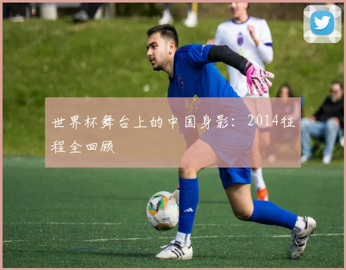 世界杯舞台上的中国身影：2014征程全回顾