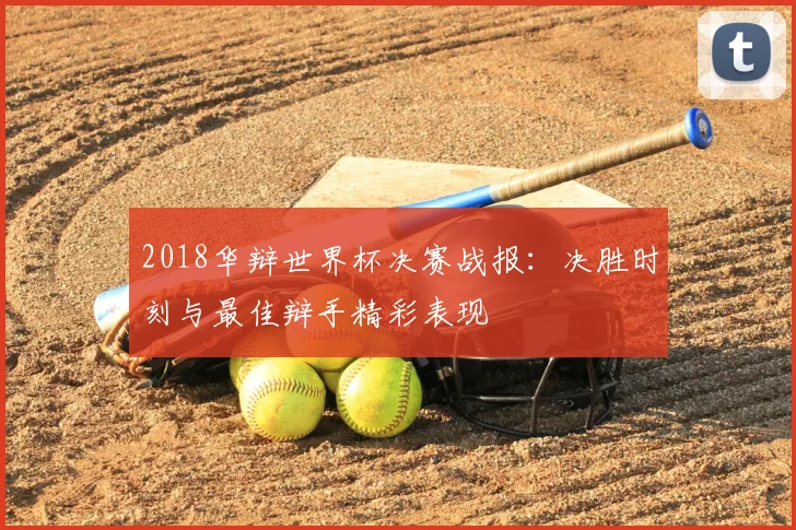 2018华辩世界杯决赛战报：决胜时刻与最佳辩手精彩表现