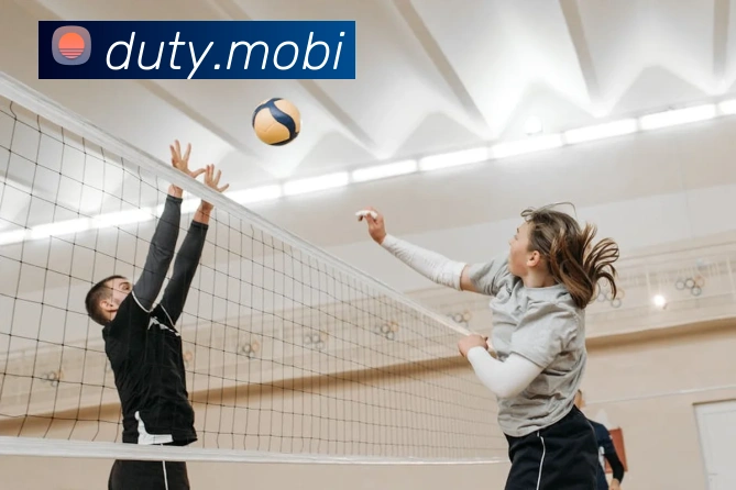 App Interface Preview